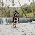Bed & Breakfast Equitare Rural