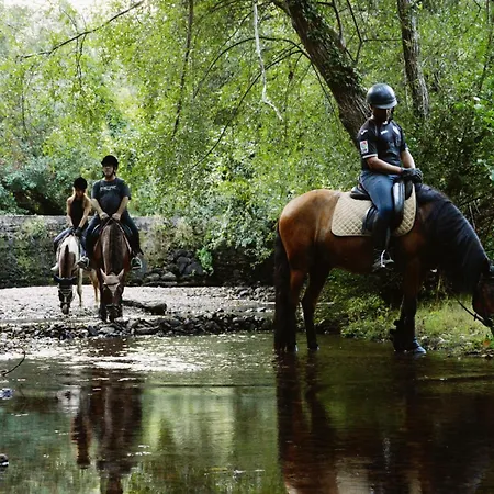 Equitare Rural Miranda do Corvo
