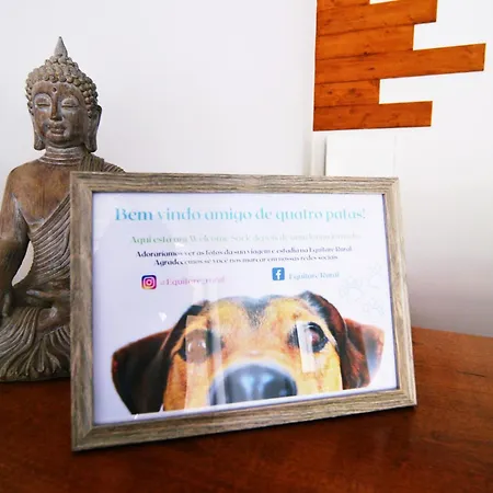 Equitare Rural Miranda do Corvo