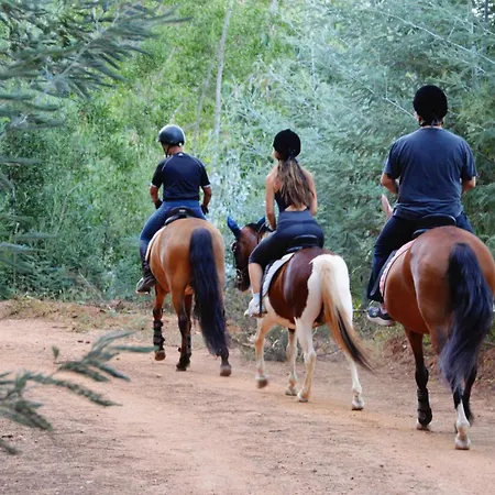Alojamento de Acomodação e Pequeno-almoço Equitare Rural *