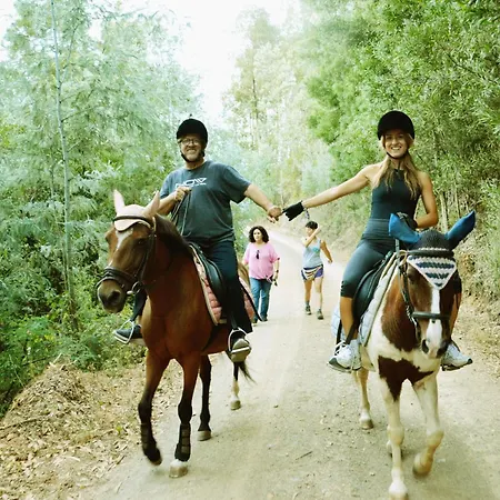 Equitare Rural Bed & Breakfast Miranda do Corvo