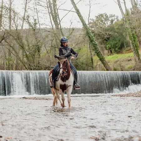 Bed and Breakfast Equitare Rural