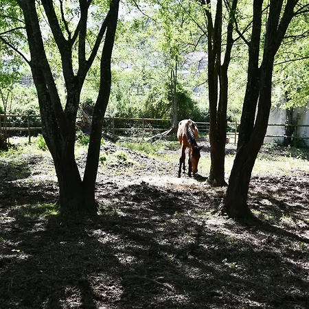 Equitare Rural