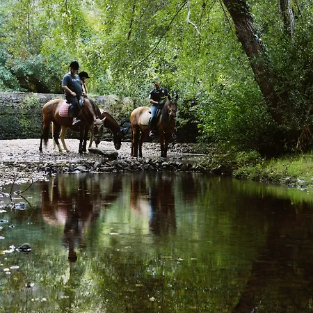 Equitare Rural Miranda do Corvo