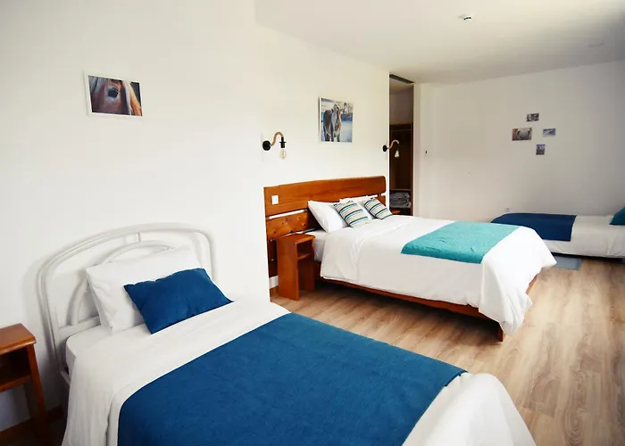 Equitare Rural 3* Miranda do Corvo