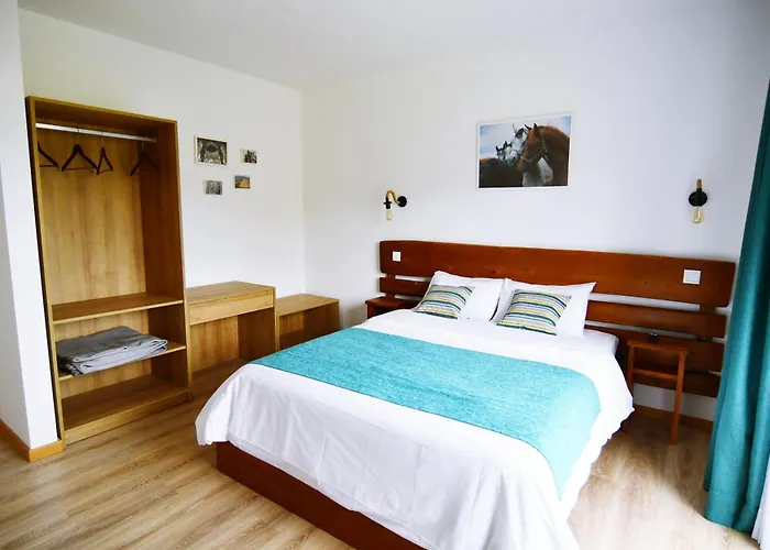 Alojamento de Acomodação e Pequeno-almoço Equitare Rural 3*