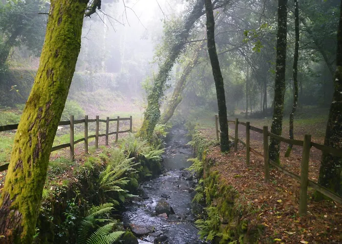 Alojamento de Acomodação e Pequeno-almoço Equitare Rural Miranda do Corvo