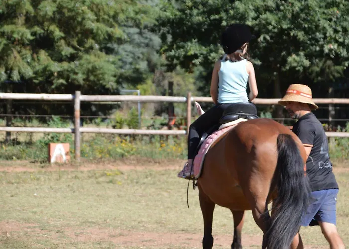 Alojamento de Acomodação e Pequeno-almoço Equitare Rural Miranda do Corvo