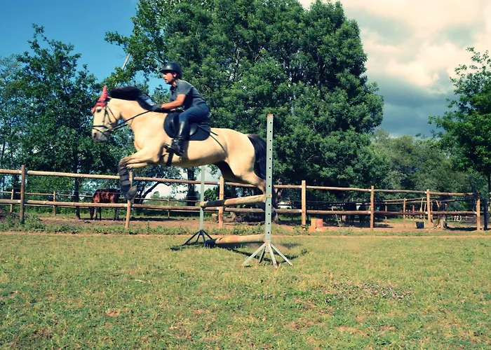Equitare Rural Alojamento de Acomodação e Pequeno-almoço 3*