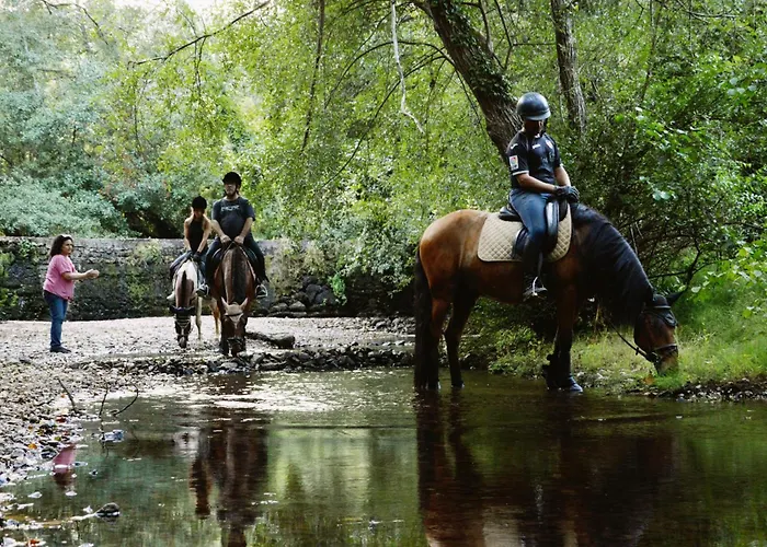 Equitare Rural Miranda do Corvo
