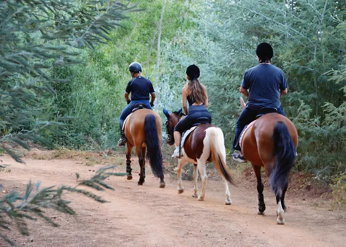 Alojamento de Acomodação e Pequeno-almoço Equitare Rural 3*