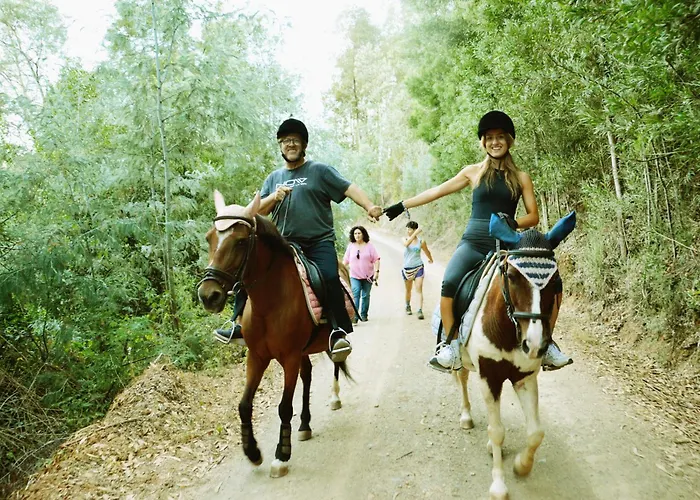 Equitare Rural Alojamento de Acomodação e Pequeno-almoço Miranda do Corvo