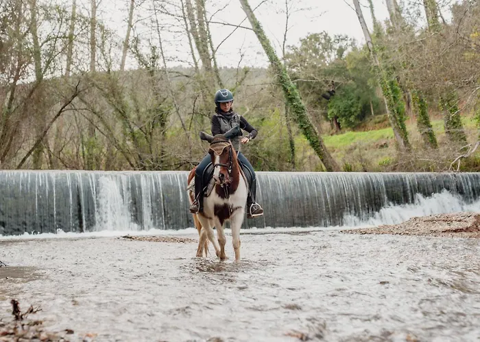Alojamento de Acomodação e Pequeno-almoço Equitare Rural