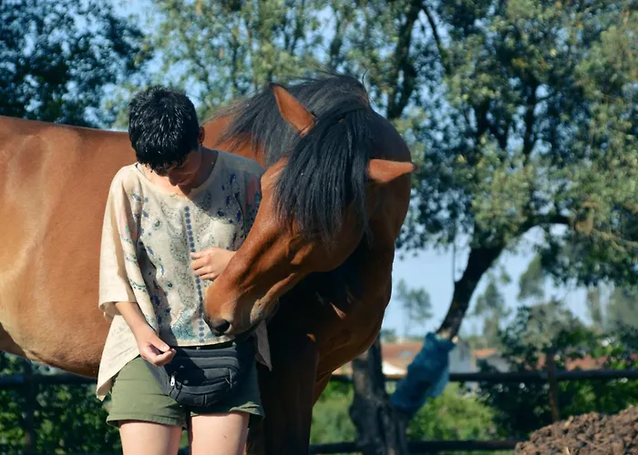 Equitare Rural 3* Miranda do Corvo