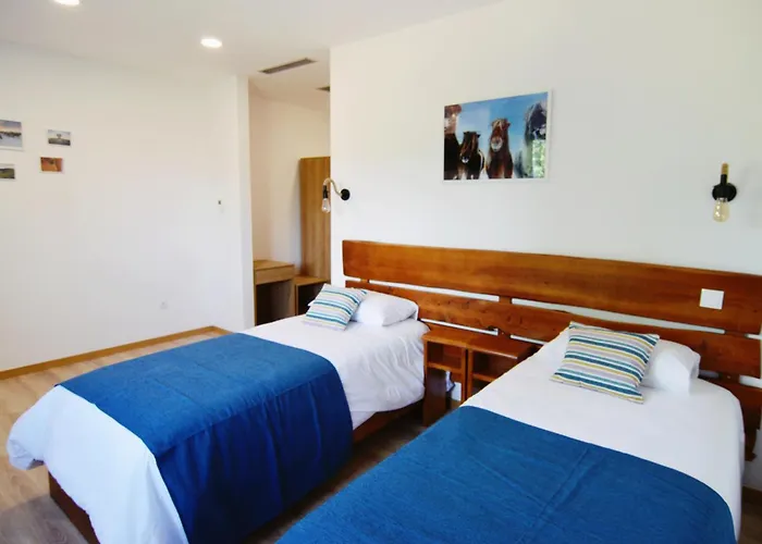 Alojamento de Acomodação e Pequeno-almoço Equitare Rural Miranda do Corvo