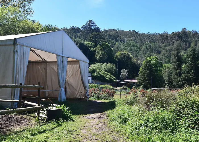 Equitare Rural Alojamento de Acomodação e Pequeno-almoço Miranda do Corvo