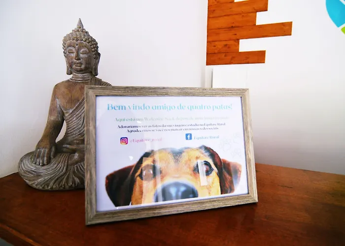 Alojamento de Acomodação e Pequeno-almoço Equitare Rural