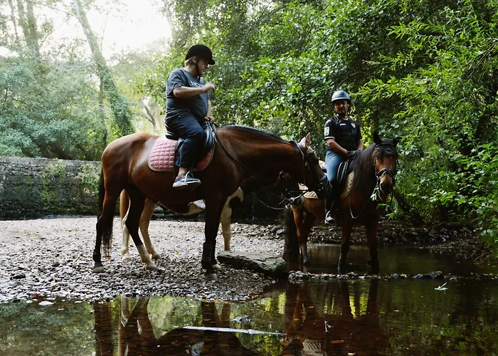 Alojamento de Acomodação e Pequeno-almoço Equitare Rural 3*