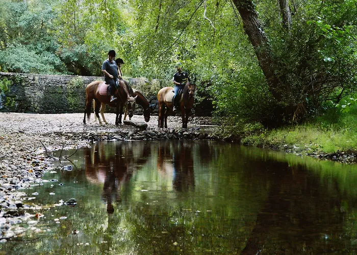 Equitare Rural Miranda do Corvo